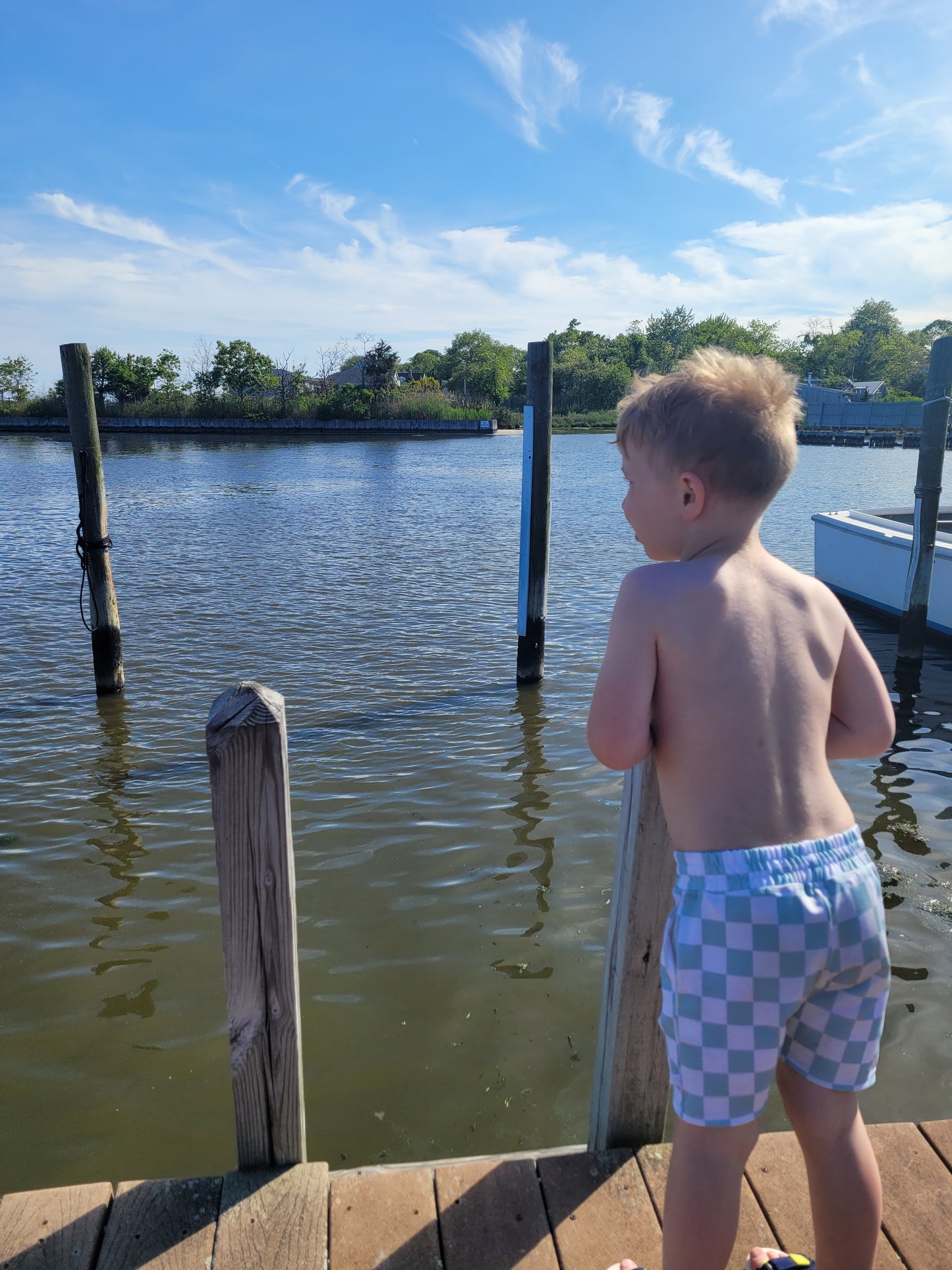 Back of toddler gazing into the bay wearing Boys white and mint green checkered swim shorts