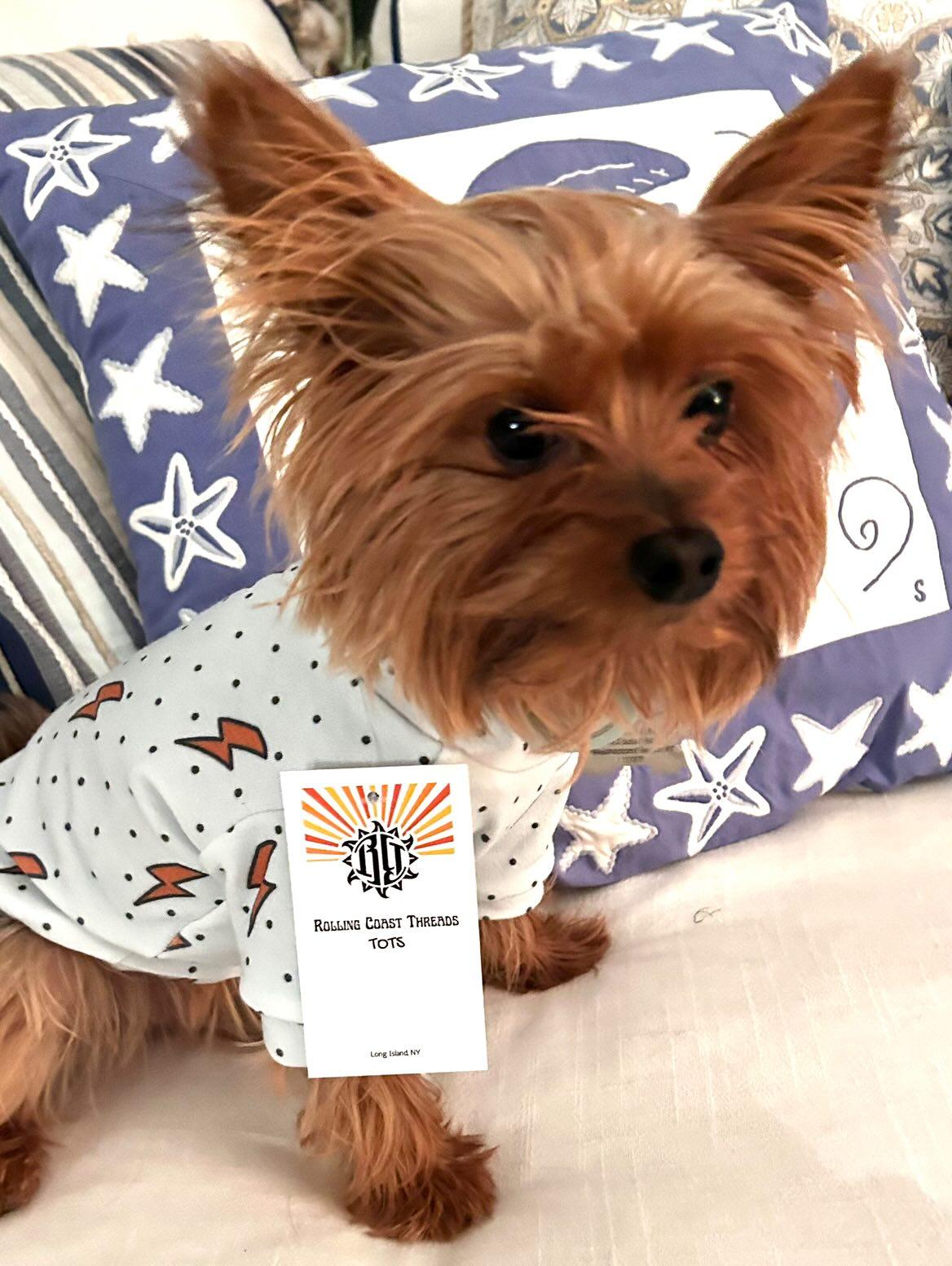Light blue dog sweater with orange lightening bolts on yorkie